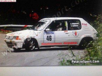 Peugeot 205 rallye
