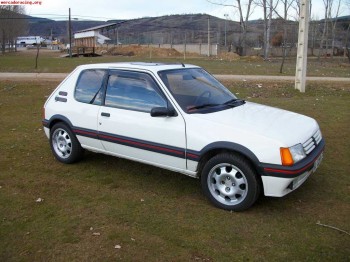 205 gti 1.9