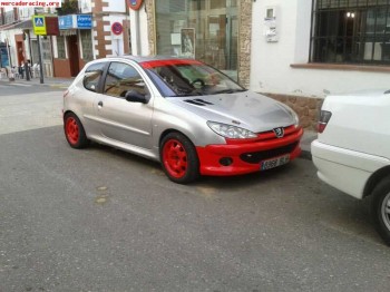 Puegeot 206 grupo n 6500e