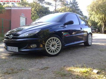 Vendo 206 gti 176cv