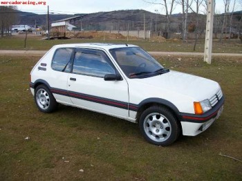 205 gti 1.9