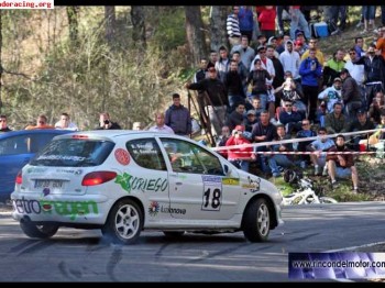 Vendo 206xs desafio nacional