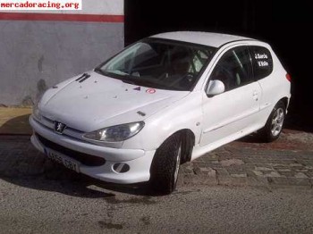Peugeot 206 grupo a  ( 8.500e)