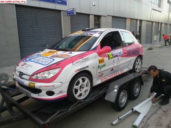 Peugeot 206 nacional