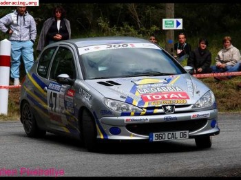 Busco peugeot 206 xs gra / peugeot 306 gra