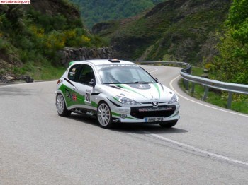 Peugeot 206 rc tope gr.n ex-ojeda
