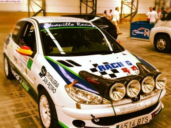 Página 1 de 1 peugeot 206 gr.a 10.000 €€€