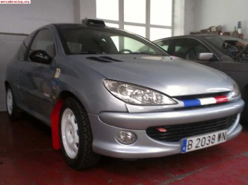 206 gti inyeccion guillotina 3500e
