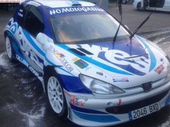 Peugeot 206 s1600 oficial