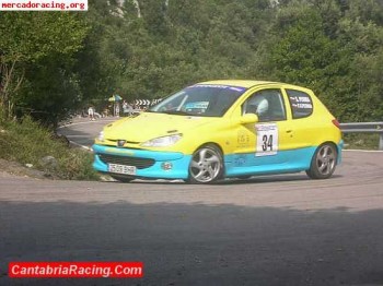 Peugeot 206 desafio regional