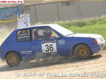 Se venden dos 205 rallye