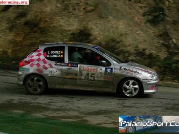 Vendo 206 desafio autonalon de asturias