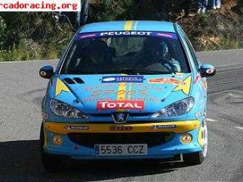 Peugeot 206 nacional