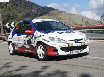 206 grupo a desafio regional