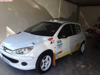 Vendo 206 asfalto/tierra