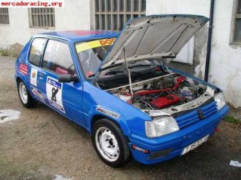 Peugeot 205 rally gr a campeon 2004 - sub-campeon 2005