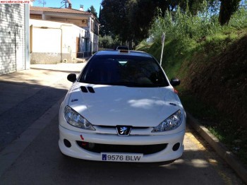 Vendo 206 asfalto/tierra