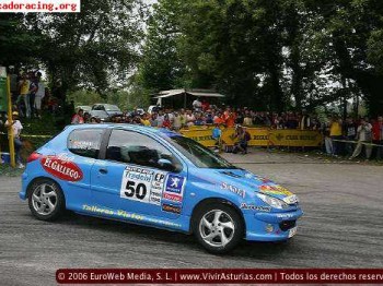 206 regional campeon de asturias trofeo autonalon
