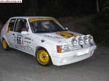 Peugeot 205 rallye gr.n