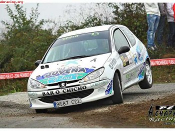-peugeot 206 xs 
