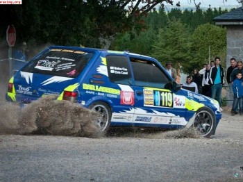 Cambio estos dos coches por 206 xs,106 gti grupo a