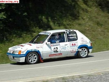 205 rallye 1.3 documentado