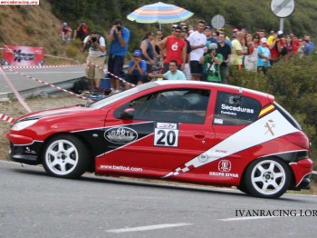 Peugeot 206 desafio nacional 