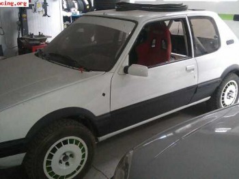 Peugeot 205 gti