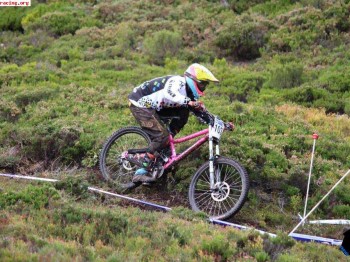 Se escuchan ofertas de todo tipo bici de descenso