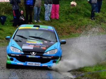 Se vende peugeot 206 del desafío muy mejorado