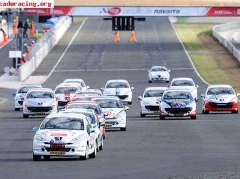 Peugeot 207 de la copa