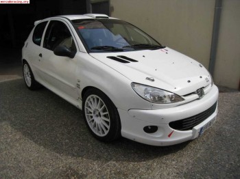 Peugeot 206 f2000 caja sadev motor kit car