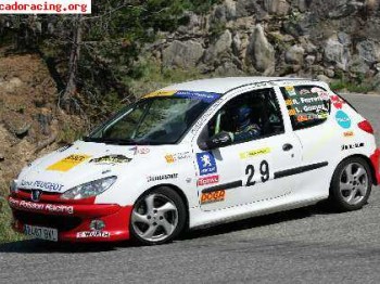 206 desafio regional 2006