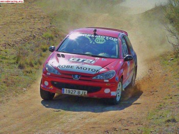 206 2.0 gti 16v tierra todo material pts 6900 siempre primer