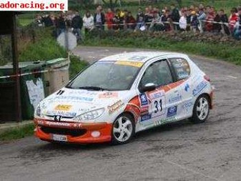 Peugeot 206 xs desafio regional