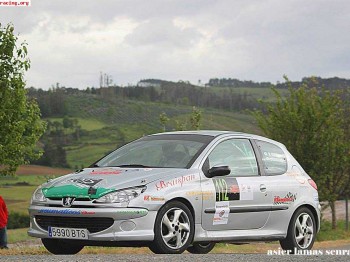 206 gti se vende muy economico 