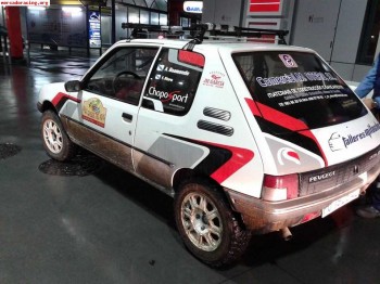 Se vende peugeot 205 raid muy fiable