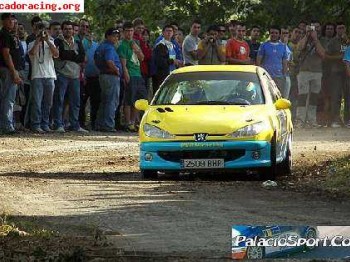 Peugeot 206 regional