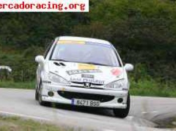 206 regional puntero