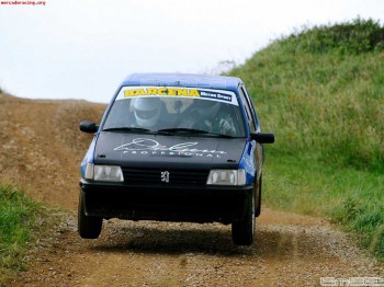 Vendo peugeot 205 de tierra