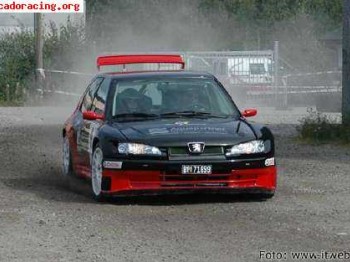 Peugeot 306 maxi evo 2