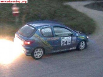 206 gr.a nacional ex-colldecarrera 24000€