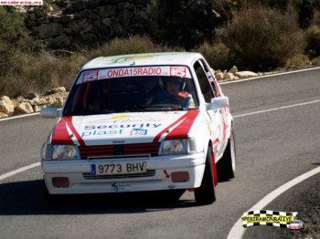 Se vende peugeot 205 gti de rallye homologado