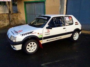 Peugeot 205 gti tierra