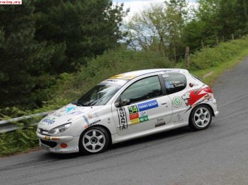 Peugeot 206 desafio nacional