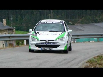 Peugeot 206 desafio nacional