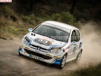 Peugeot 206 sx del desafio