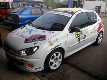 Peugeot 206 desafio nacional