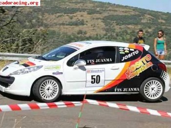 Vendo peugeot 207 rc