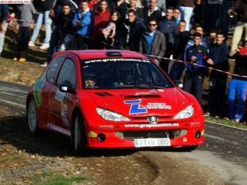 Peugeot 206 rc f2000 maxi